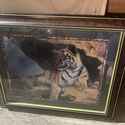 Framed Tiger Photo