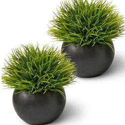 SEEKO Succulents Artificial Plants in Ceramic Pots (2 Pack