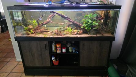 125G Aquarium + Stand