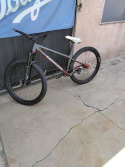 Canndale Redbull Champ