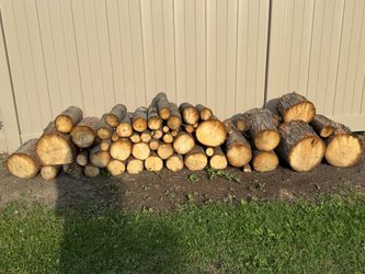 Free wood