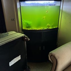 Fish Tank