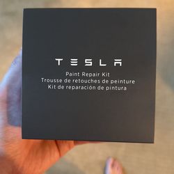 Tesla Paint Repair Kit