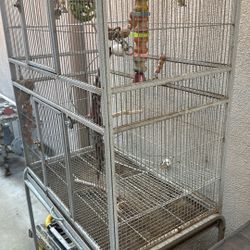 Bird Cage