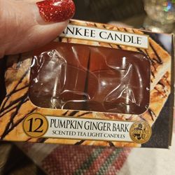 Yankee Candle New Pumpkin Gingerbread Tealights