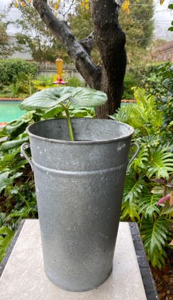 Metal Steel? Vase 12 in by 7.5 in wide