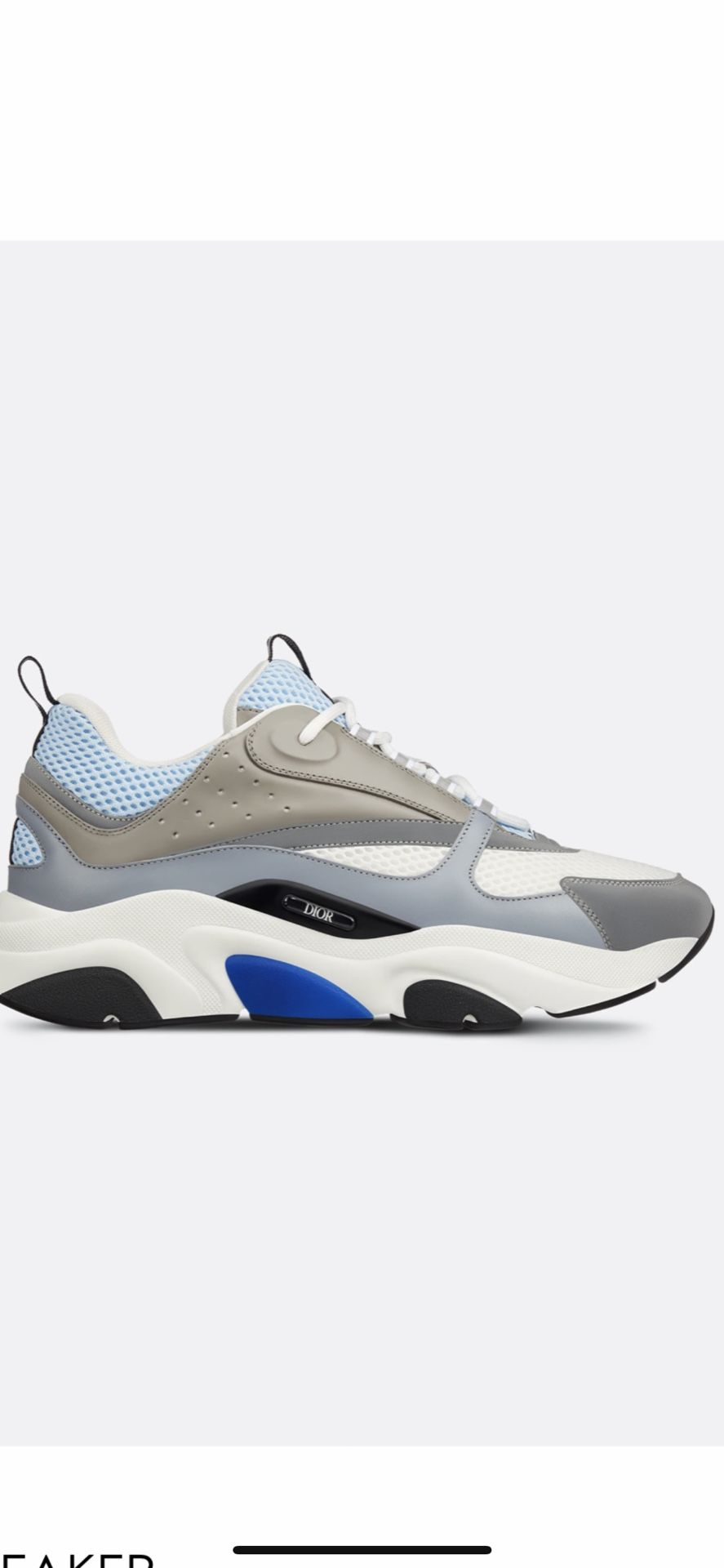 Dior B22 Grey Blue