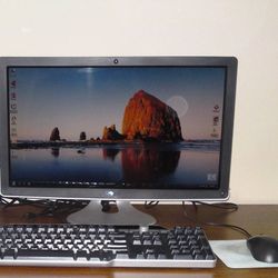 Full HD Monitor w/ Built-In Webcam & Mic