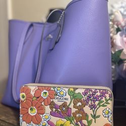 Coach Set