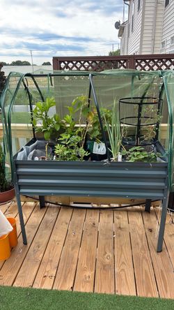 Raised Garden Bed with Greenhouse Cover