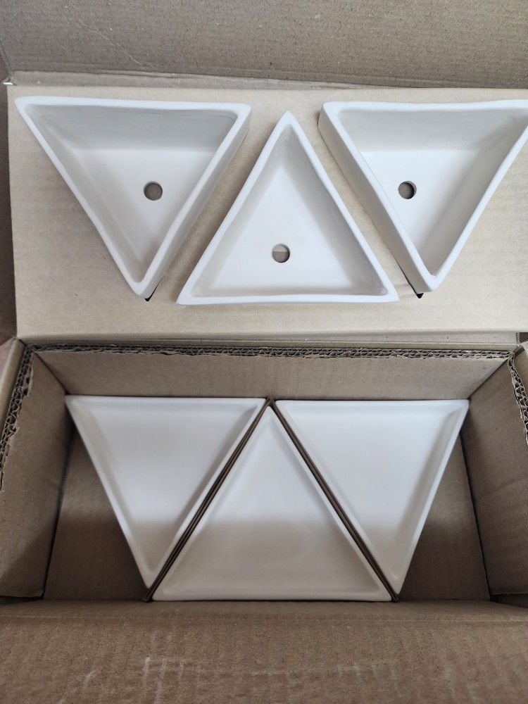 New Succulent Pots In Box