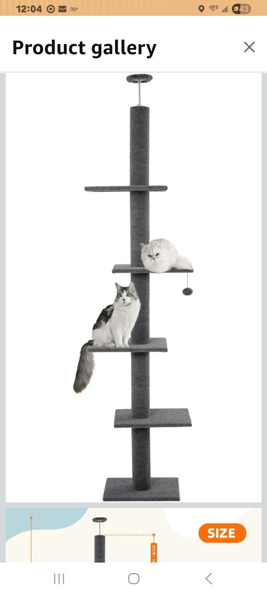 Cat Tower Floor To Ceiling