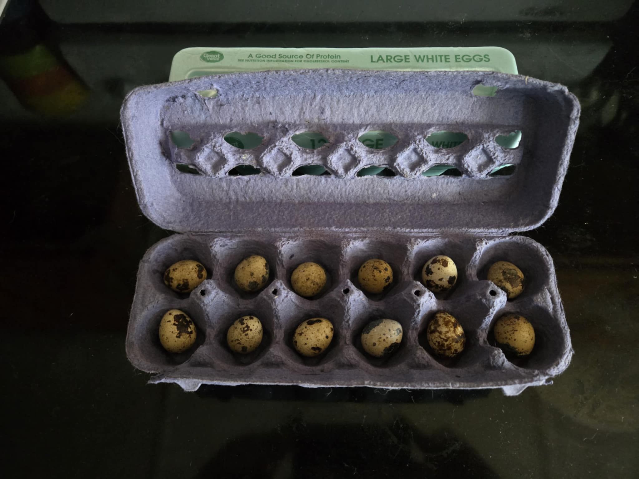 Eggs