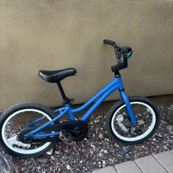 16” Blue And Black Bike Trek
