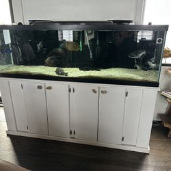 Aquarium Fish Tank 125 Gallons Complete Set Up