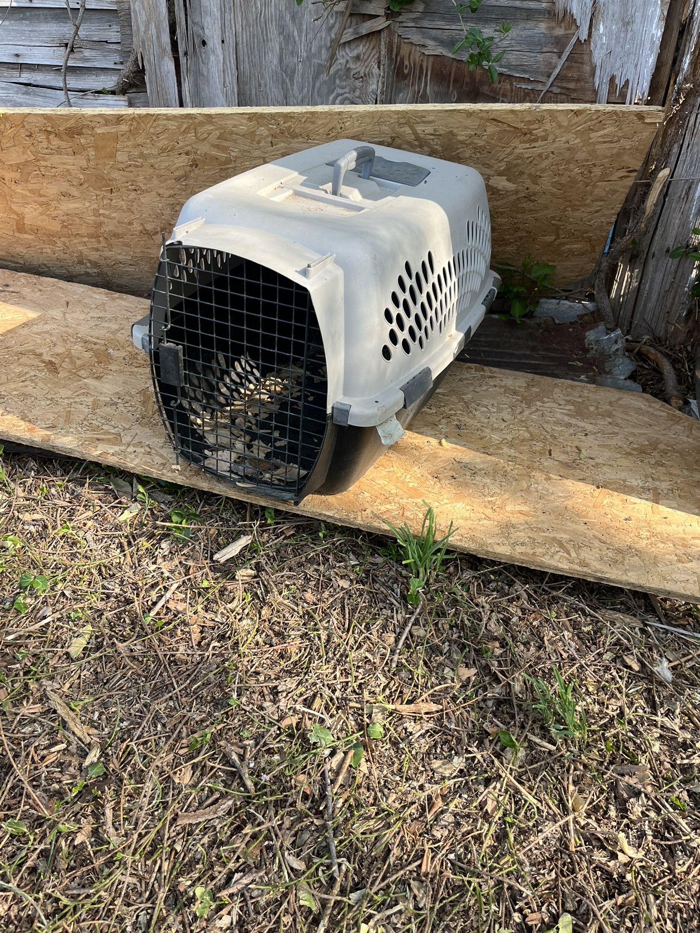 Dog Crate