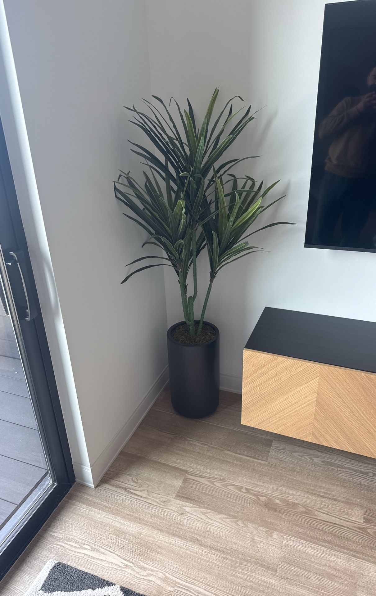 Indoor Plant (plastic) super Realistic