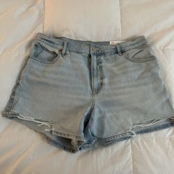 American eagle Shorts Size 14