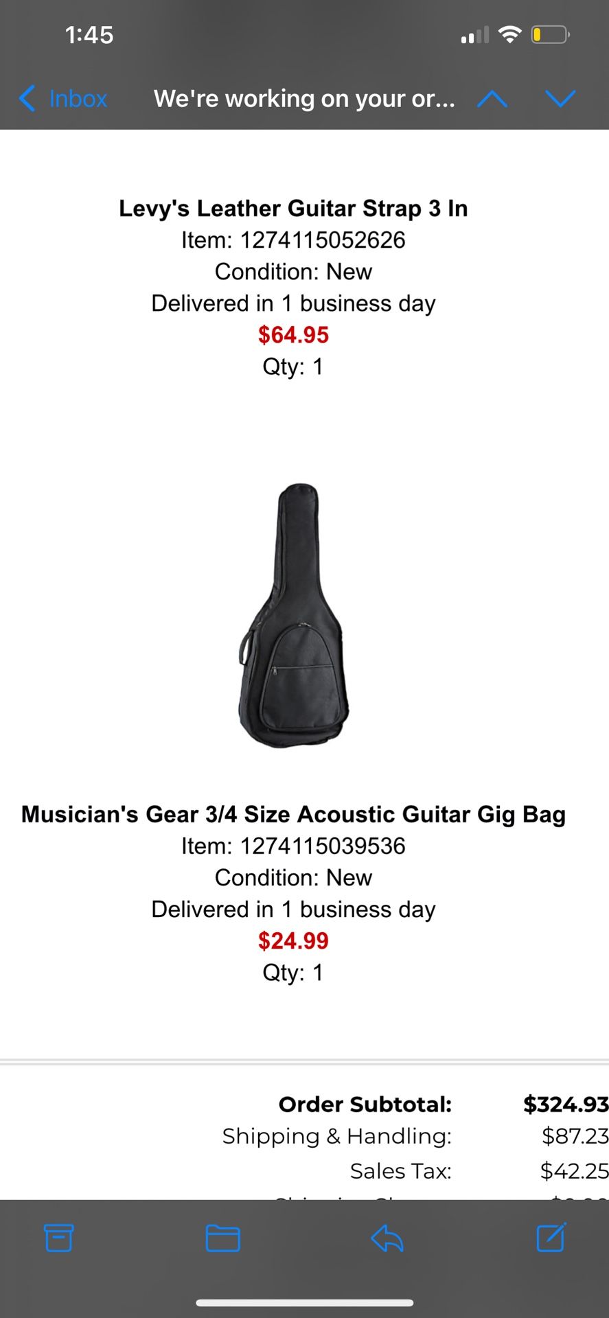 Guitar Gig Bag