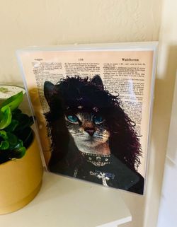 Framed Image of “Rock Star” Cat on old book page.