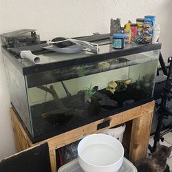 Fish Tank And Equipment 
