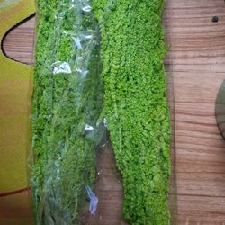 Faux Green Dried Hanging Moss For Decor