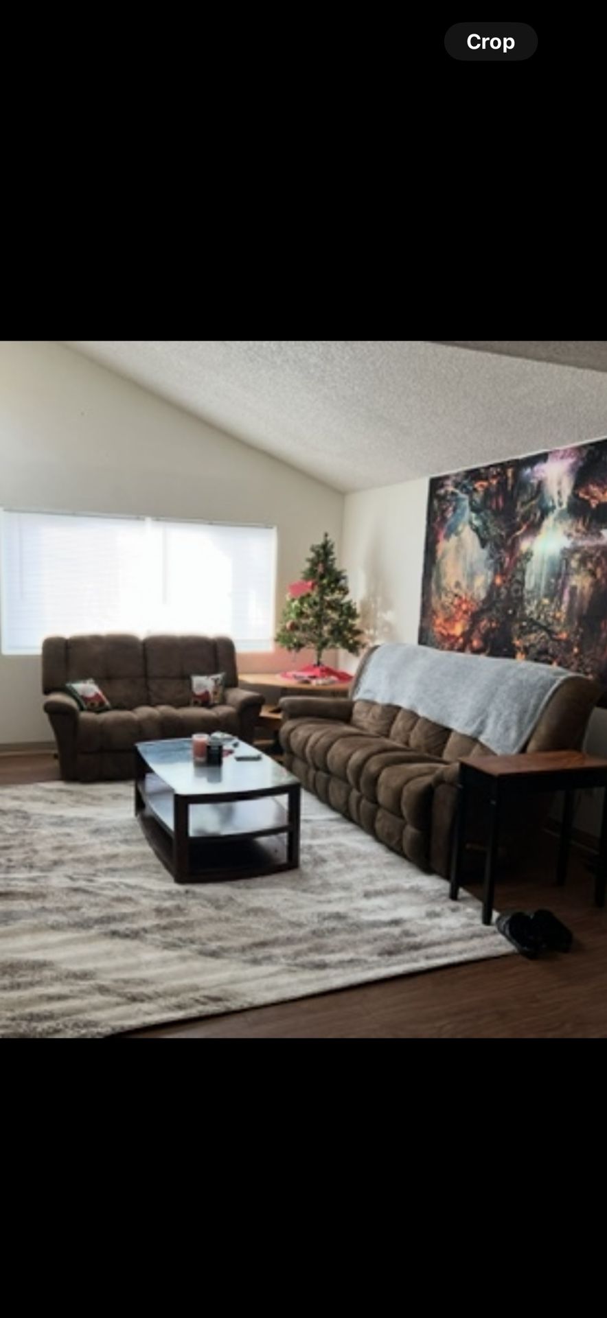 Love Seat Couch Set