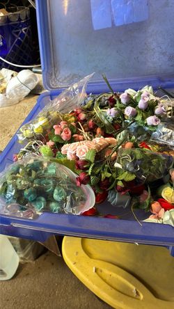 Roses
