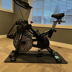 Pooboo Exercise Bike And Mats