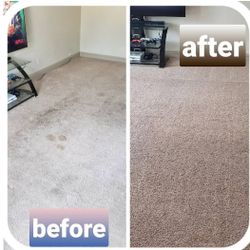 Carpet