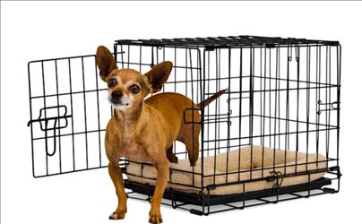 Dog crate xsmall