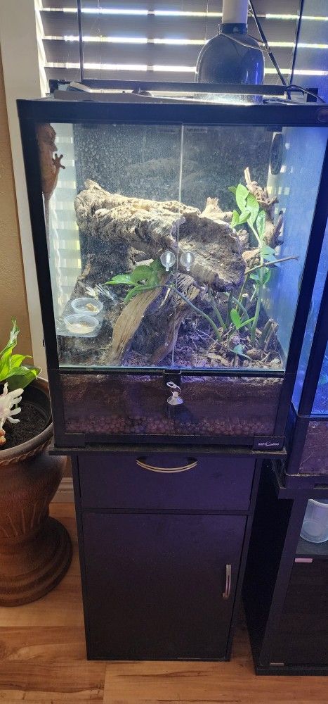 Reptizoo Tank And Stand