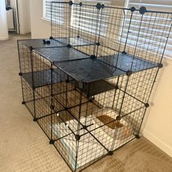 Cat Enclosure 
