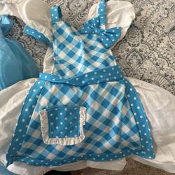 Girl Costume/Dress-up