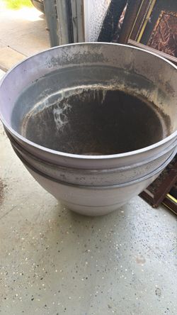 3- 22 in pots