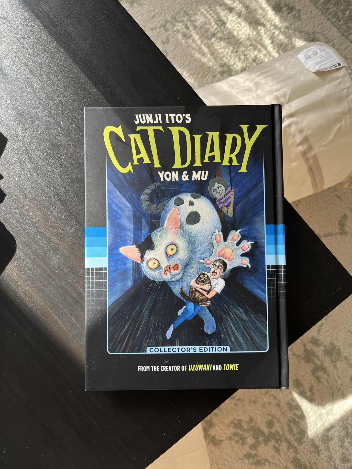 Cat Diary Junji Ito