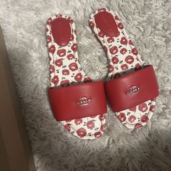 Rose Coach Slides