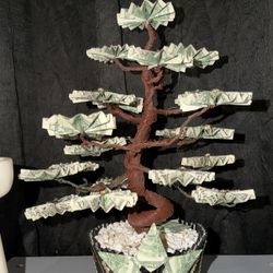 MONEY TREES  US CURRENCY 