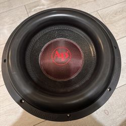 Audiopipe 12 inch sub (STILL PLAYS BUT NEEDS RECONE)