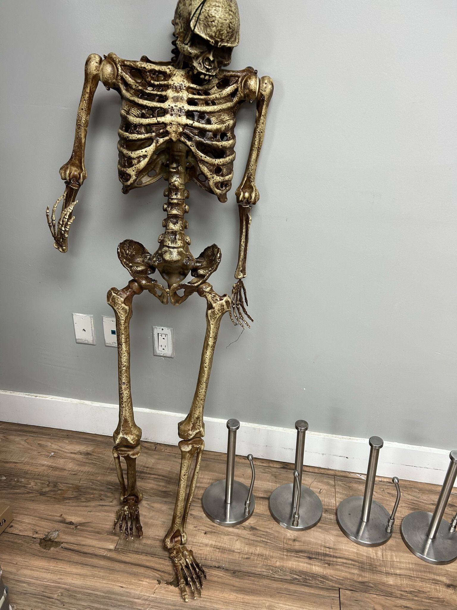 Free Skeleton Halloween Decoration for Sale in Hollywood, FL OfferUp