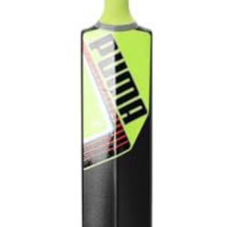 Cricket Bat