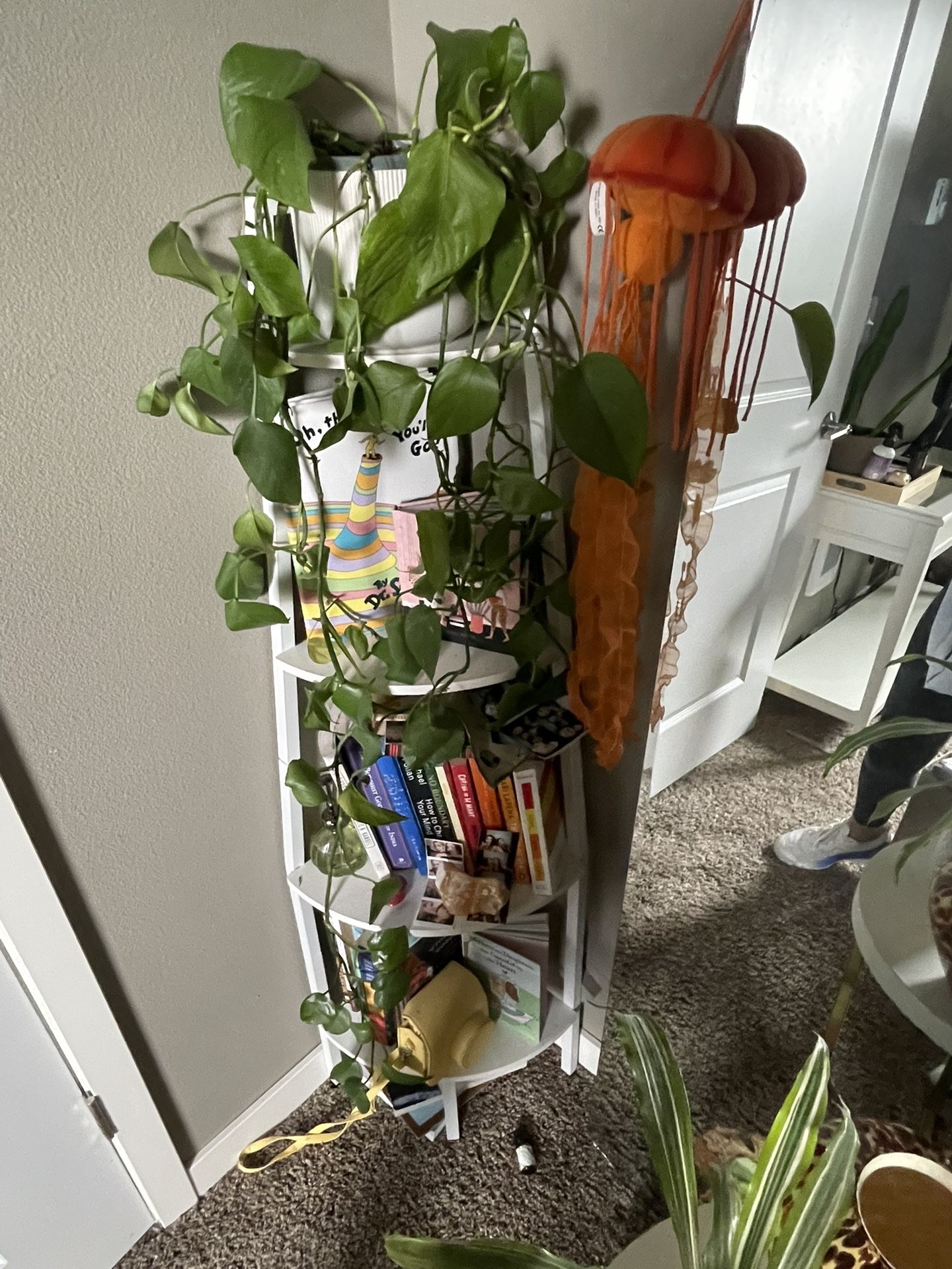 Corner Bookshelf!