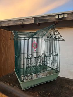 Bird Cage
