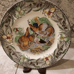 12 Collectors Plates Birds of America 