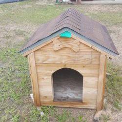 Dog House 