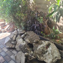 CEMENT PIECES. FREE! FREE!!