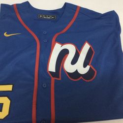 MLB Freddie Freeman National League Nike 2025 All-Star Edition Limited Player Jersey 