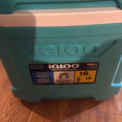 Mini Ice Chest IGLOO