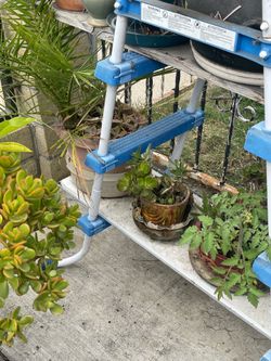 I have plants for sell