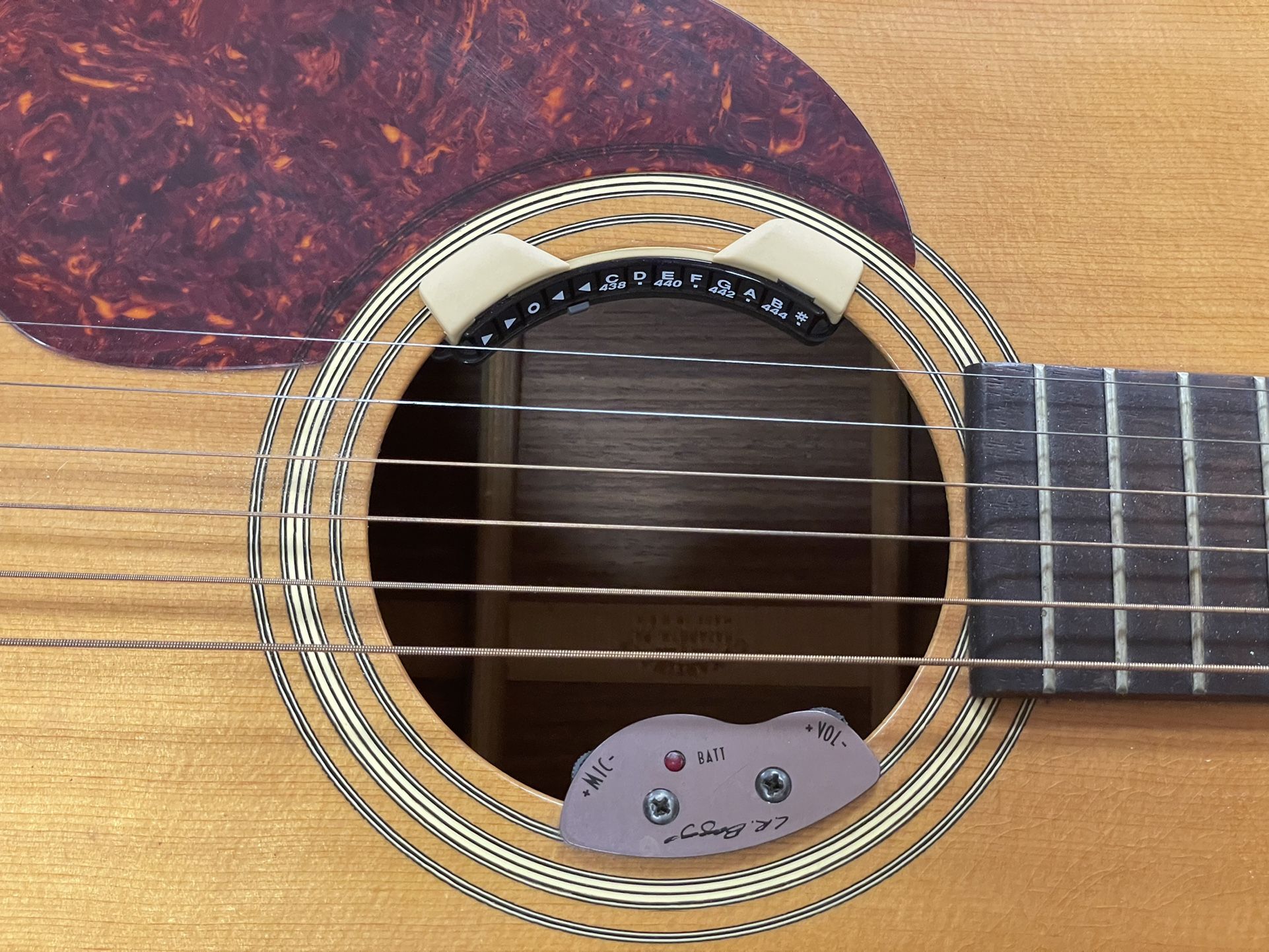 Acoustic Guitar